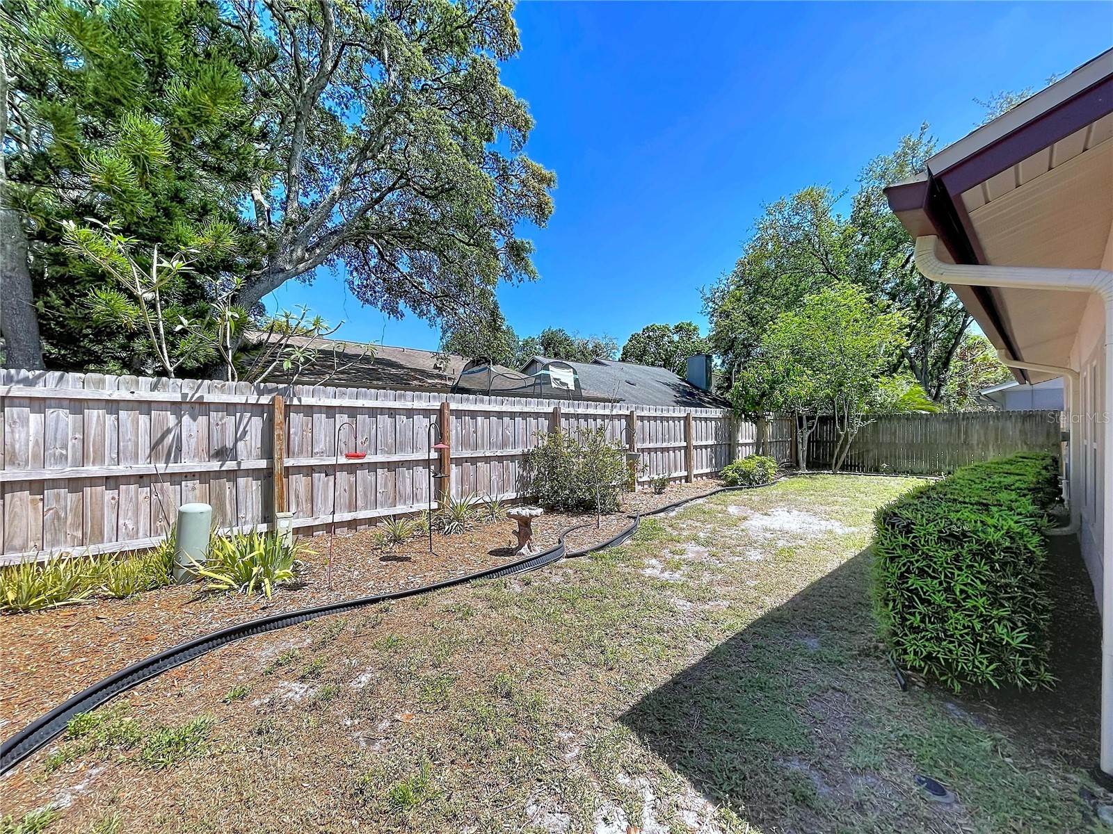 14711 Tall Tree Drive Lutz FL 33559 W7884855 image40