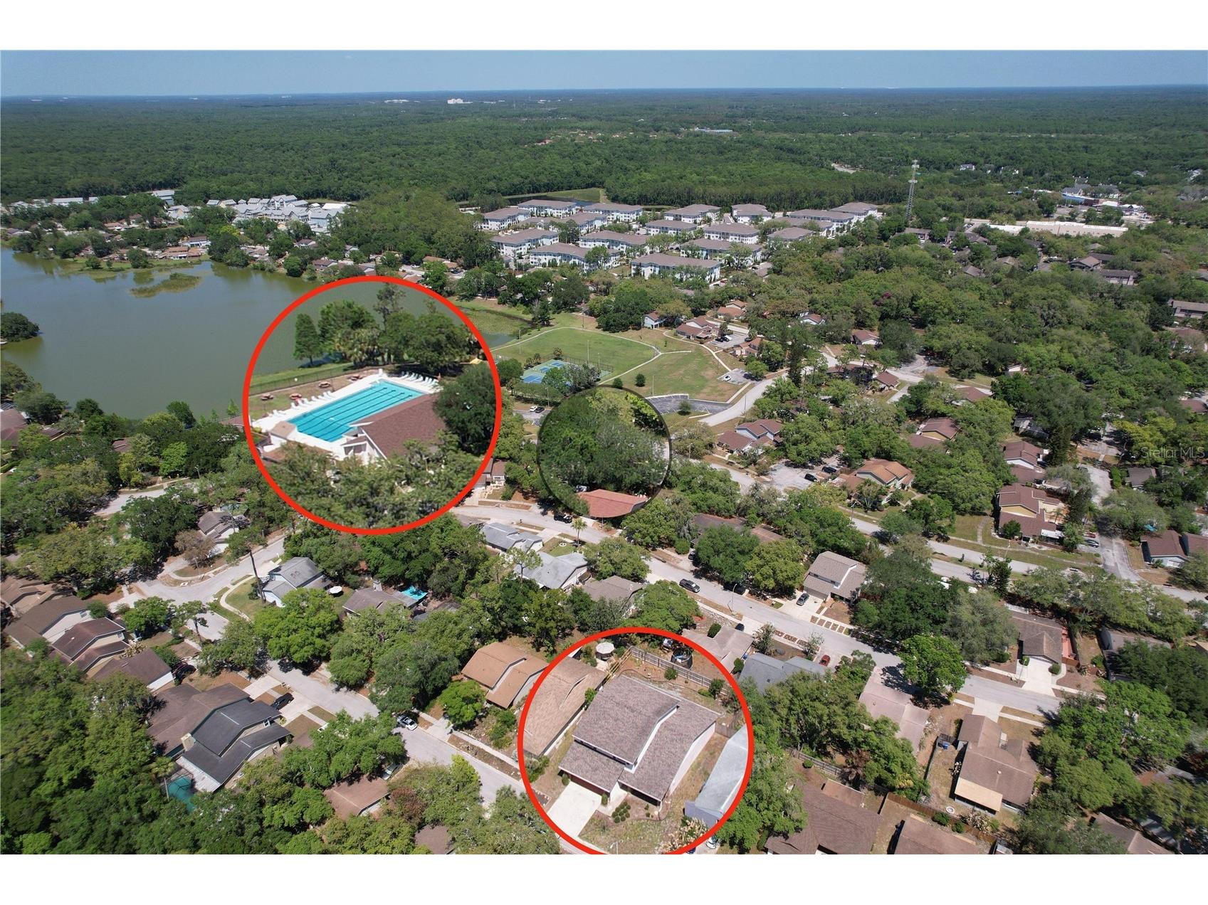 14711 Tall Tree Drive Lutz FL 33559 W7884855 image43