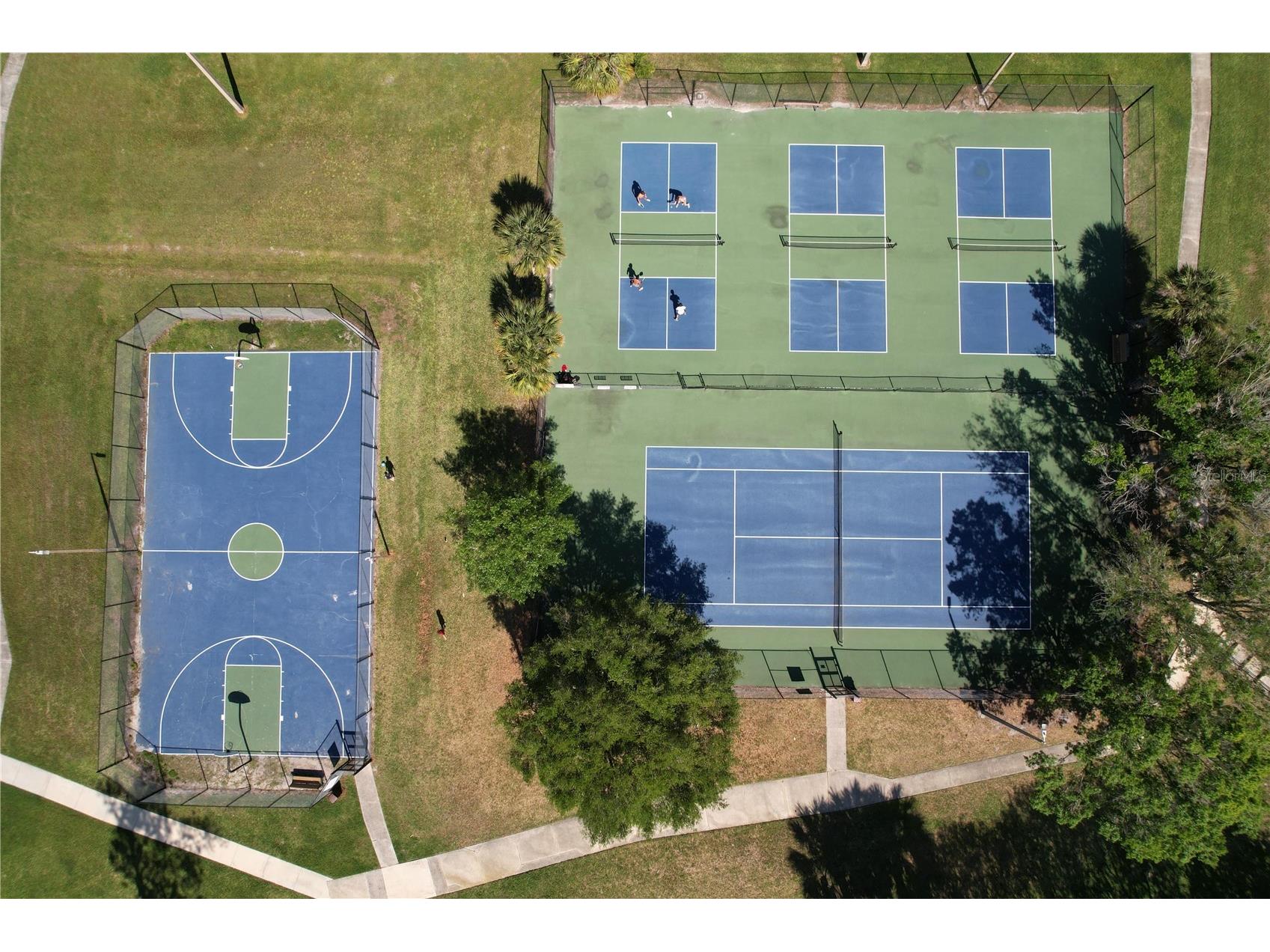 14711 Tall Tree Drive Lutz FL 33559 W7884855 image45