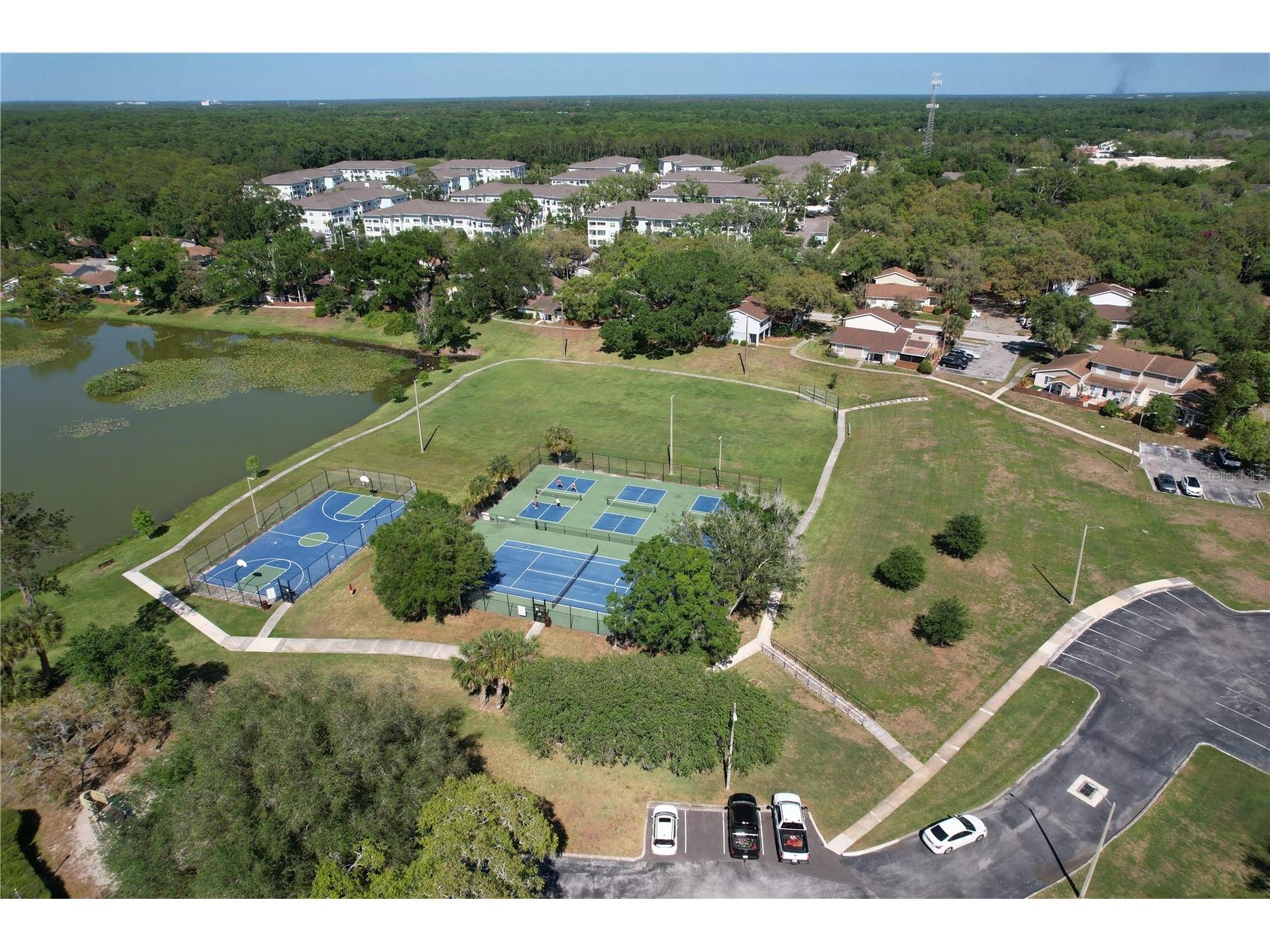 14711 Tall Tree Drive Lutz FL 33559 W7884855 image46