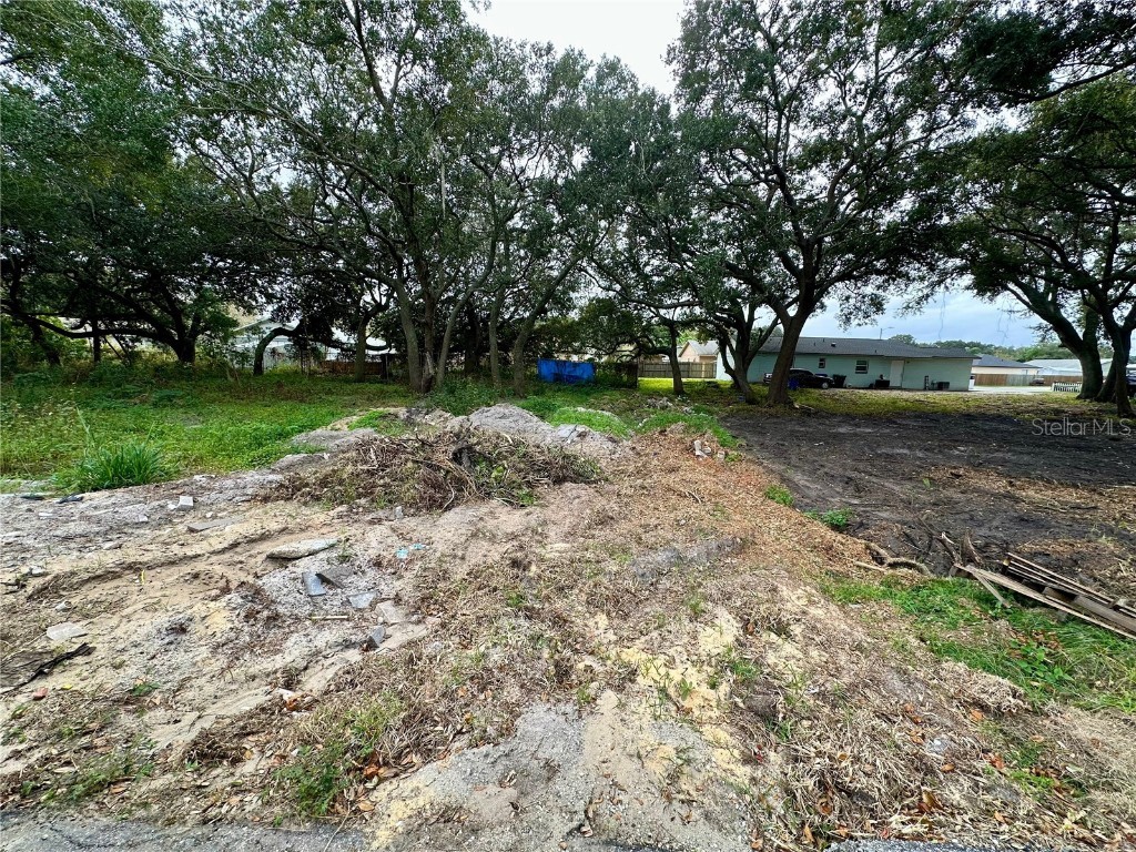 14712 Micah Street Winter Garden FL 34787 O6164714 image1