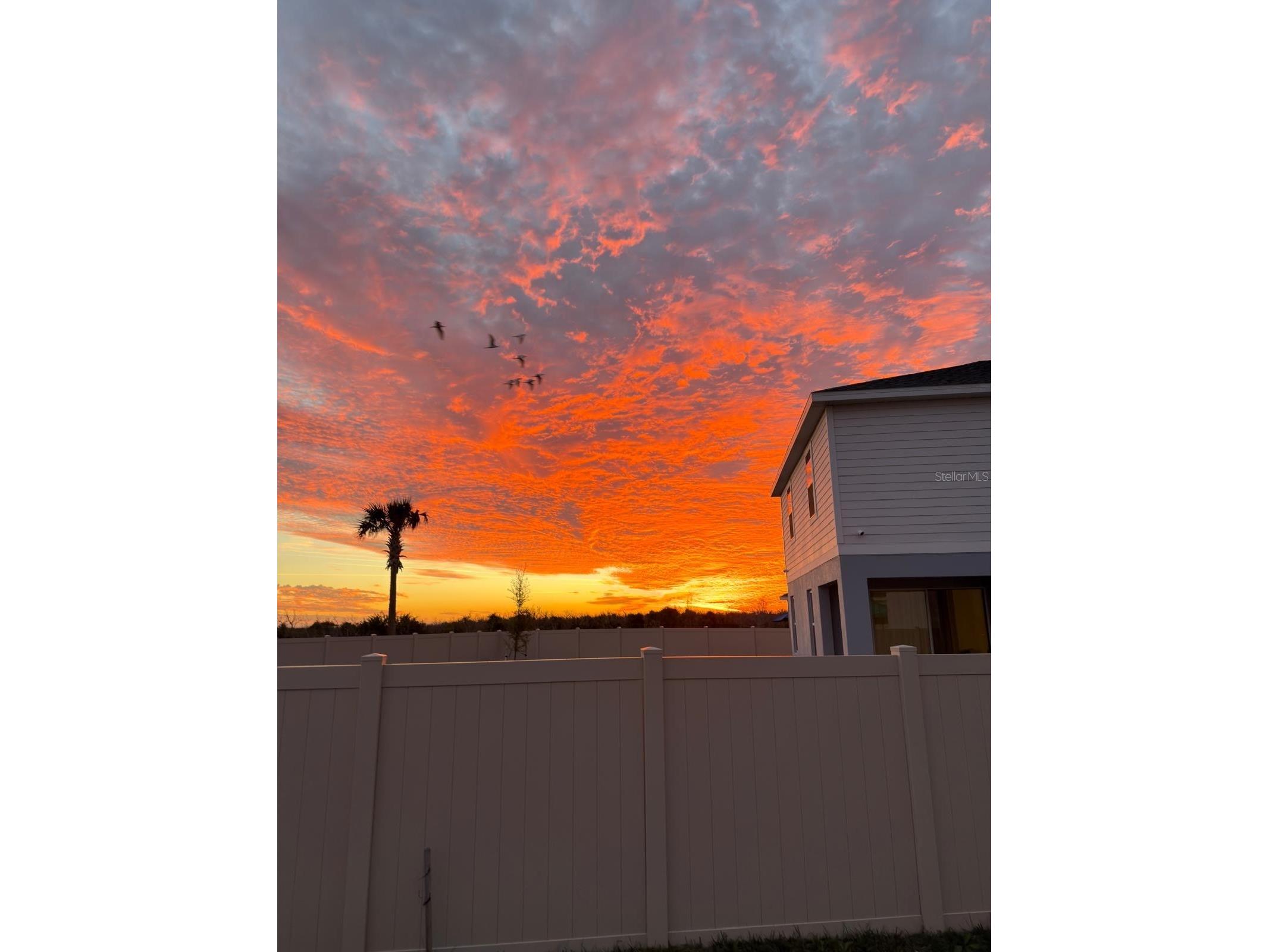 14713 Crestavista Avenue Clermont FL 34714 O6403517 image49