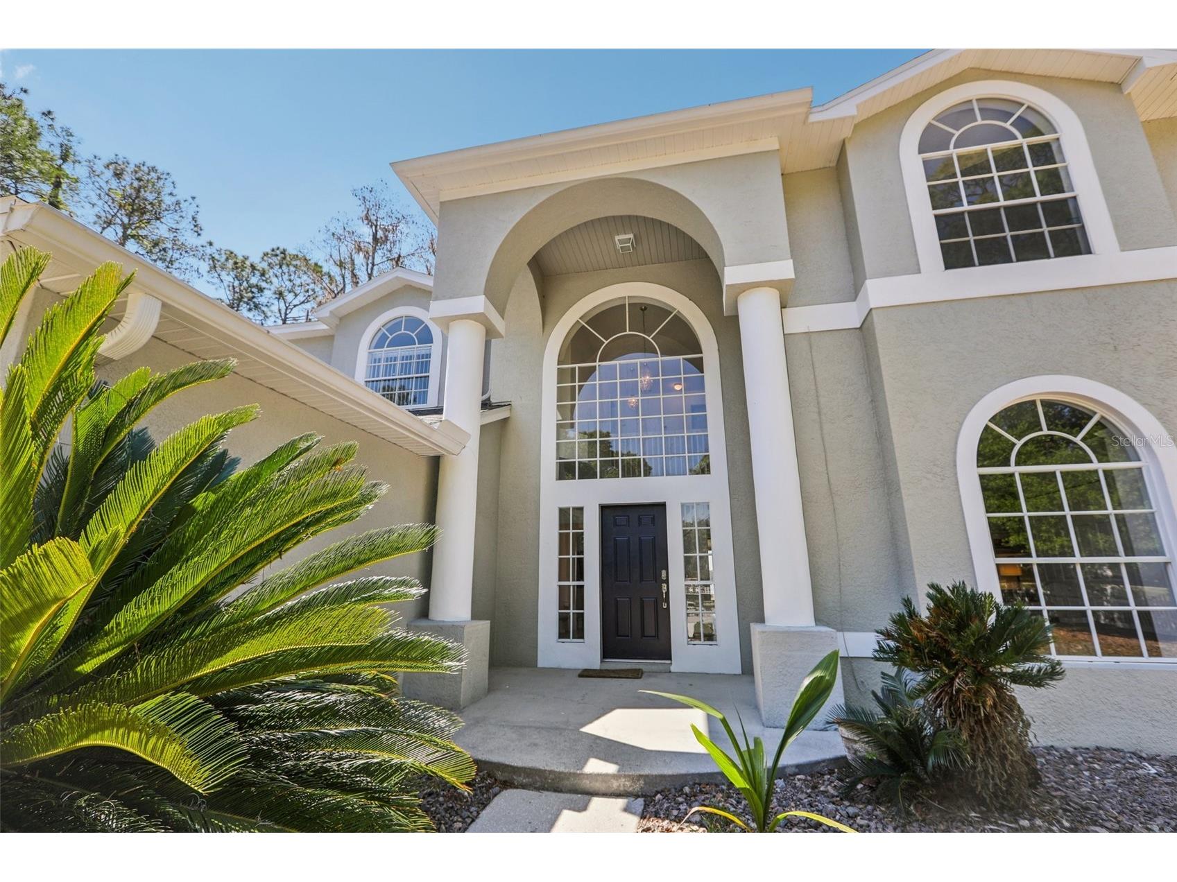 14714 Coloma Lane Odessa FL 33556 - LAKE HIAWATHA TB8491714 image12
