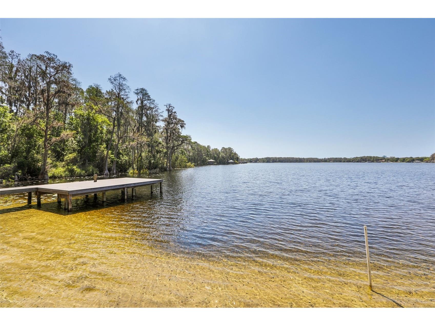14714 Coloma Lane Odessa FL 33556 - LAKE HIAWATHA TB8491714 image3