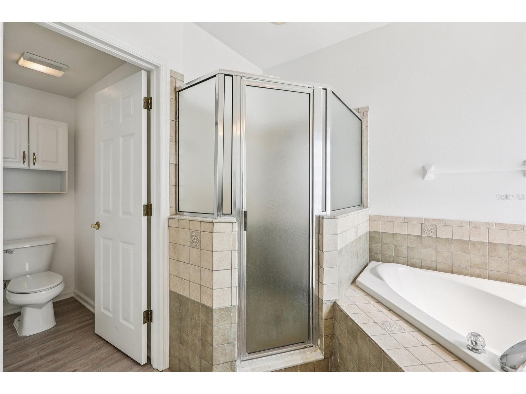 14714 Coloma Lane Odessa FL 33556 - LAKE HIAWATHA TB8491714 image33