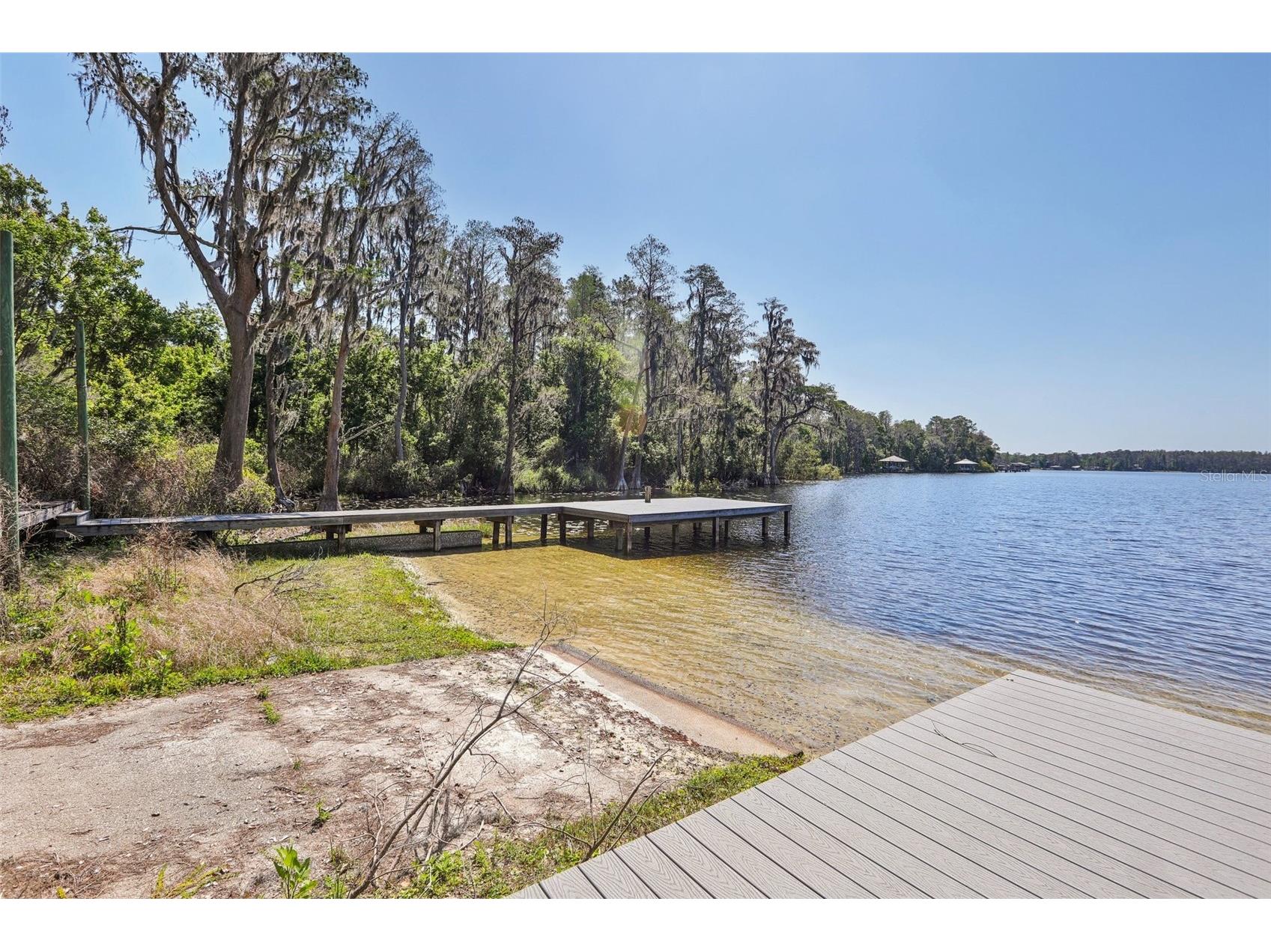 14714 Coloma Lane Odessa FL 33556 - LAKE HIAWATHA TB8491714 image64