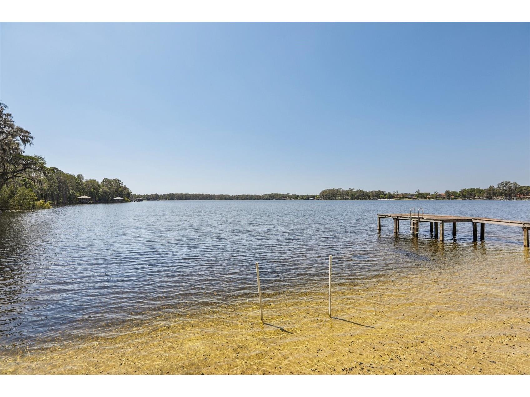14714 Coloma Lane Odessa FL 33556 - LAKE HIAWATHA TB8491714 image65