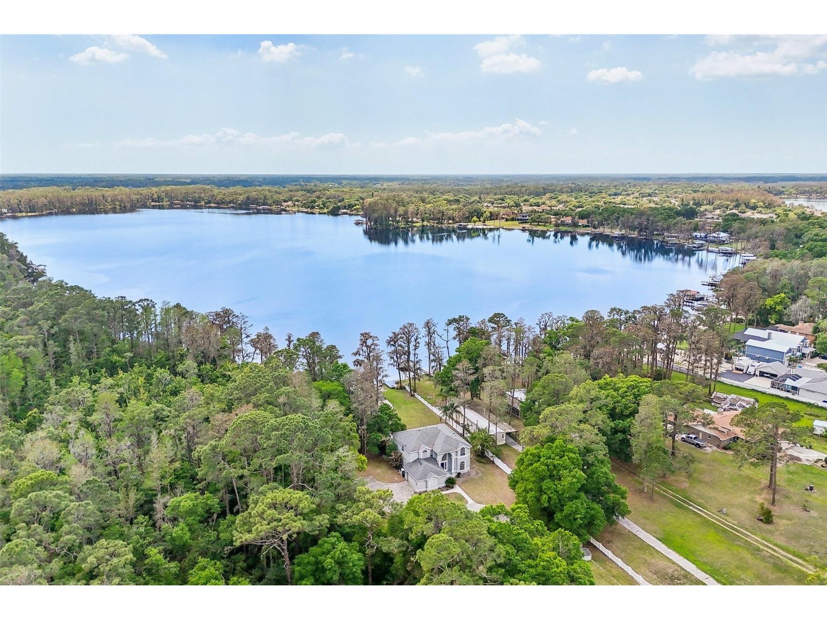 14714 Coloma Lane Odessa FL 33556 - LAKE HIAWATHA TB8491714 image69