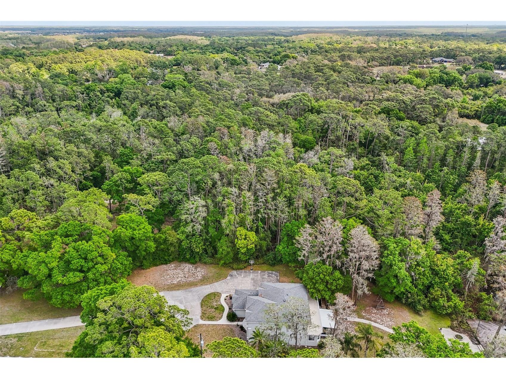 14714 Coloma Lane Odessa FL 33556 - LAKE HIAWATHA TB8491714 image83