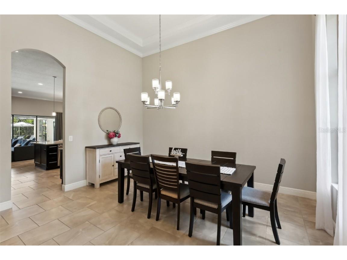 14715 Fishhawk Preserve Drive Lithia FL 33547 TB8390300 image12