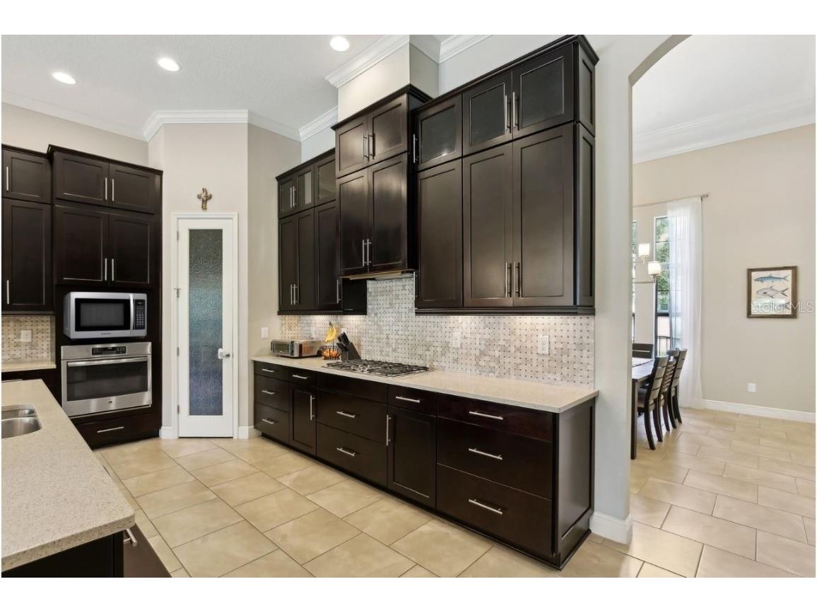 14715 Fishhawk Preserve Drive Lithia FL 33547 TB8390300 image14