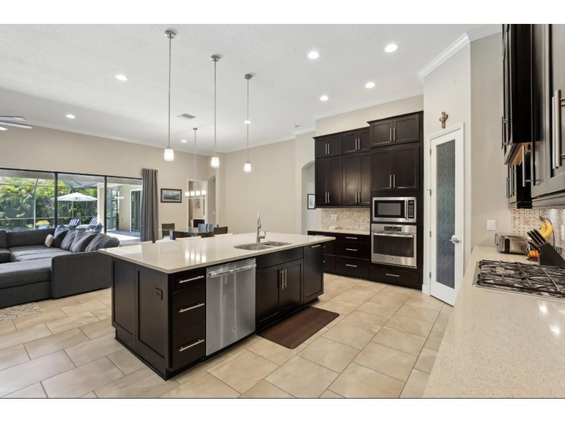 14715 Fishhawk Preserve Drive Lithia FL 33547 TB8390300 image17