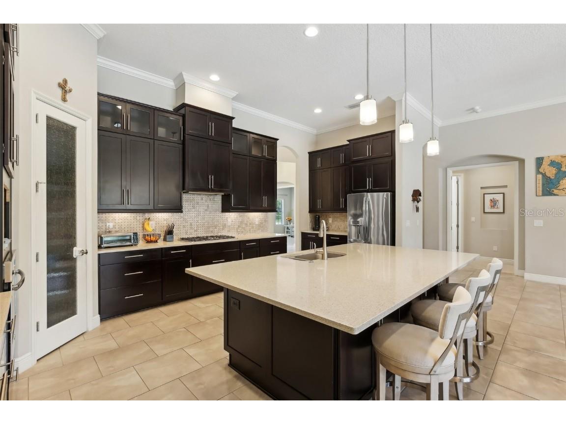 14715 Fishhawk Preserve Drive Lithia FL 33547 TB8390300 image18