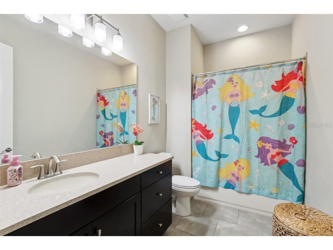 14715 Fishhawk Preserve Drive Lithia FL 33547 TB8390300 image19