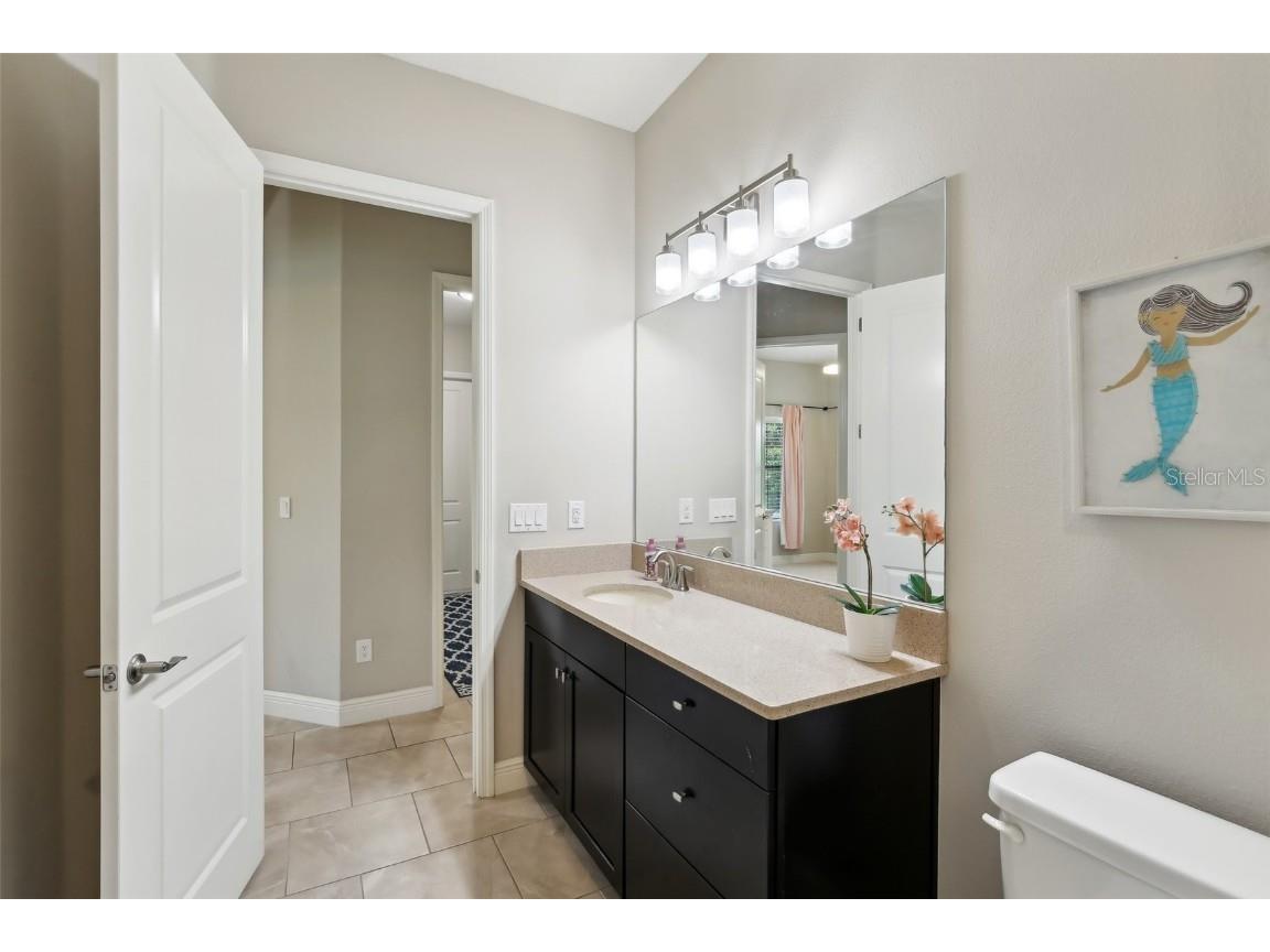 14715 Fishhawk Preserve Drive Lithia FL 33547 TB8390300 image20