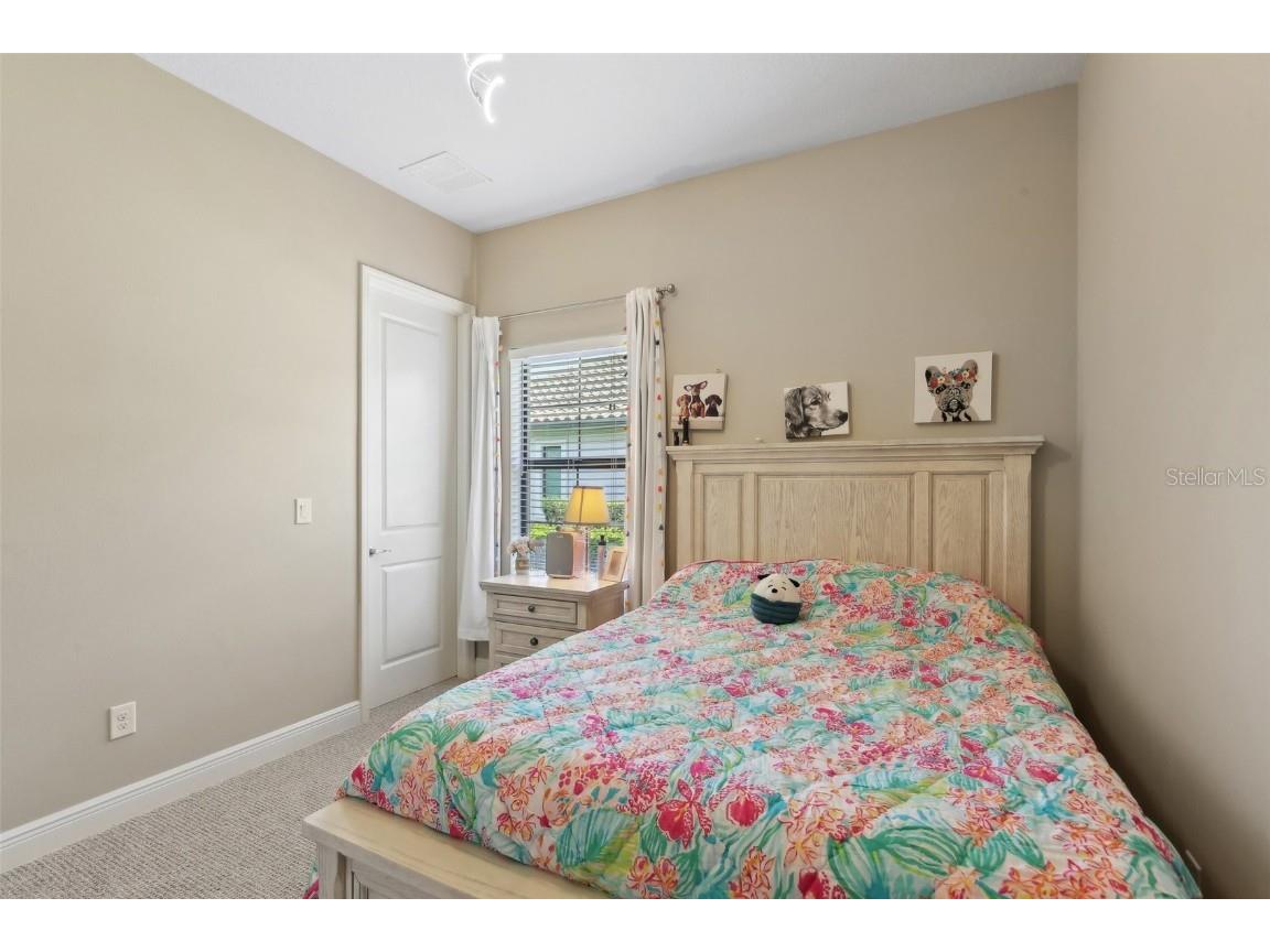 14715 Fishhawk Preserve Drive Lithia FL 33547 TB8390300 image21