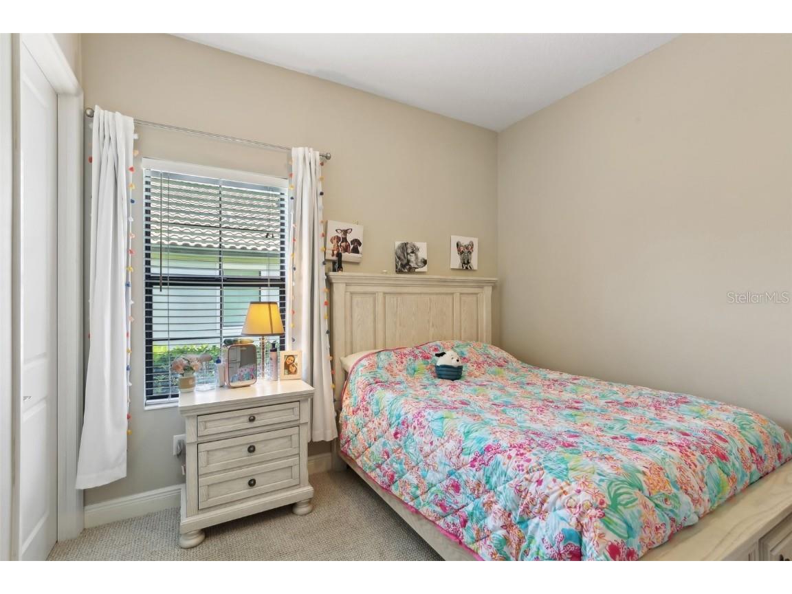 14715 Fishhawk Preserve Drive Lithia FL 33547 TB8390300 image22