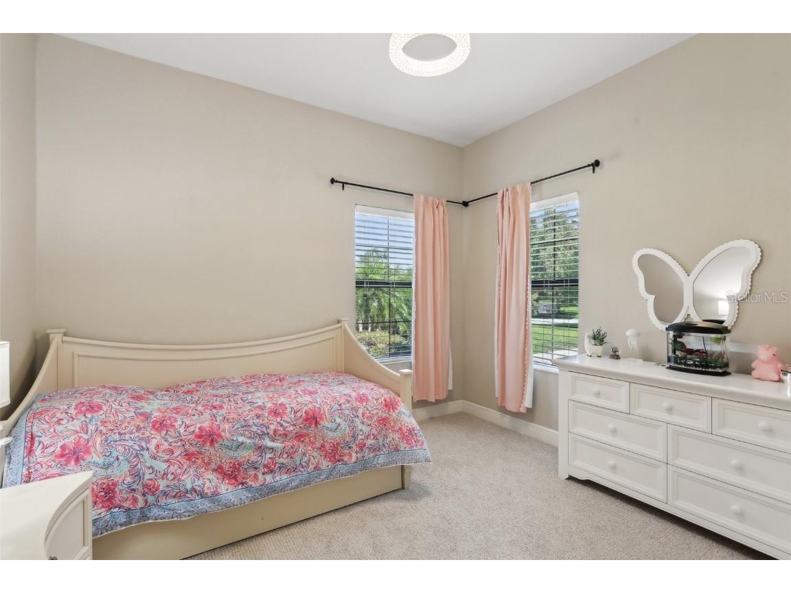 14715 Fishhawk Preserve Drive Lithia FL 33547 TB8390300 image25