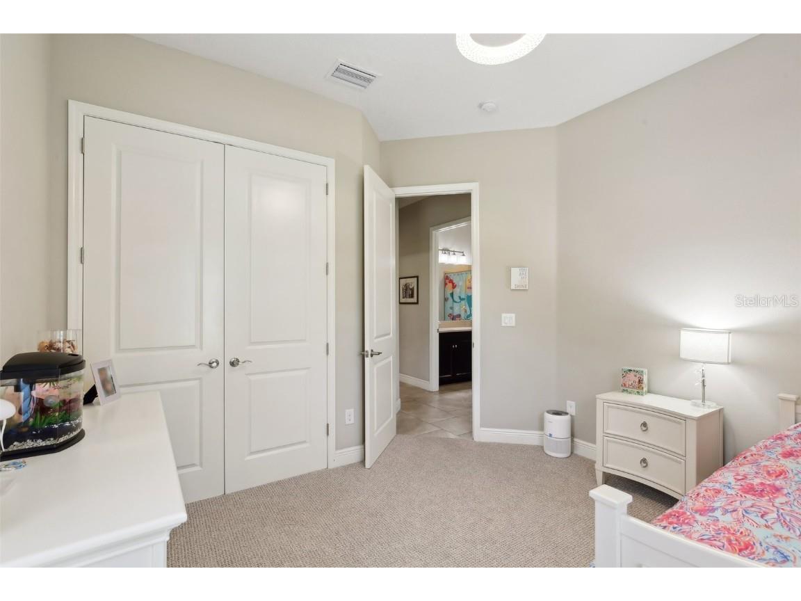 14715 Fishhawk Preserve Drive Lithia FL 33547 TB8390300 image26