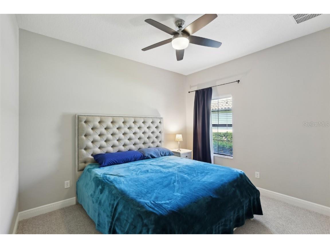 14715 Fishhawk Preserve Drive Lithia FL 33547 TB8390300 image44