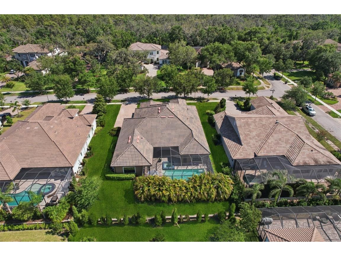 14715 Fishhawk Preserve Drive Lithia FL 33547 TB8390300 image64