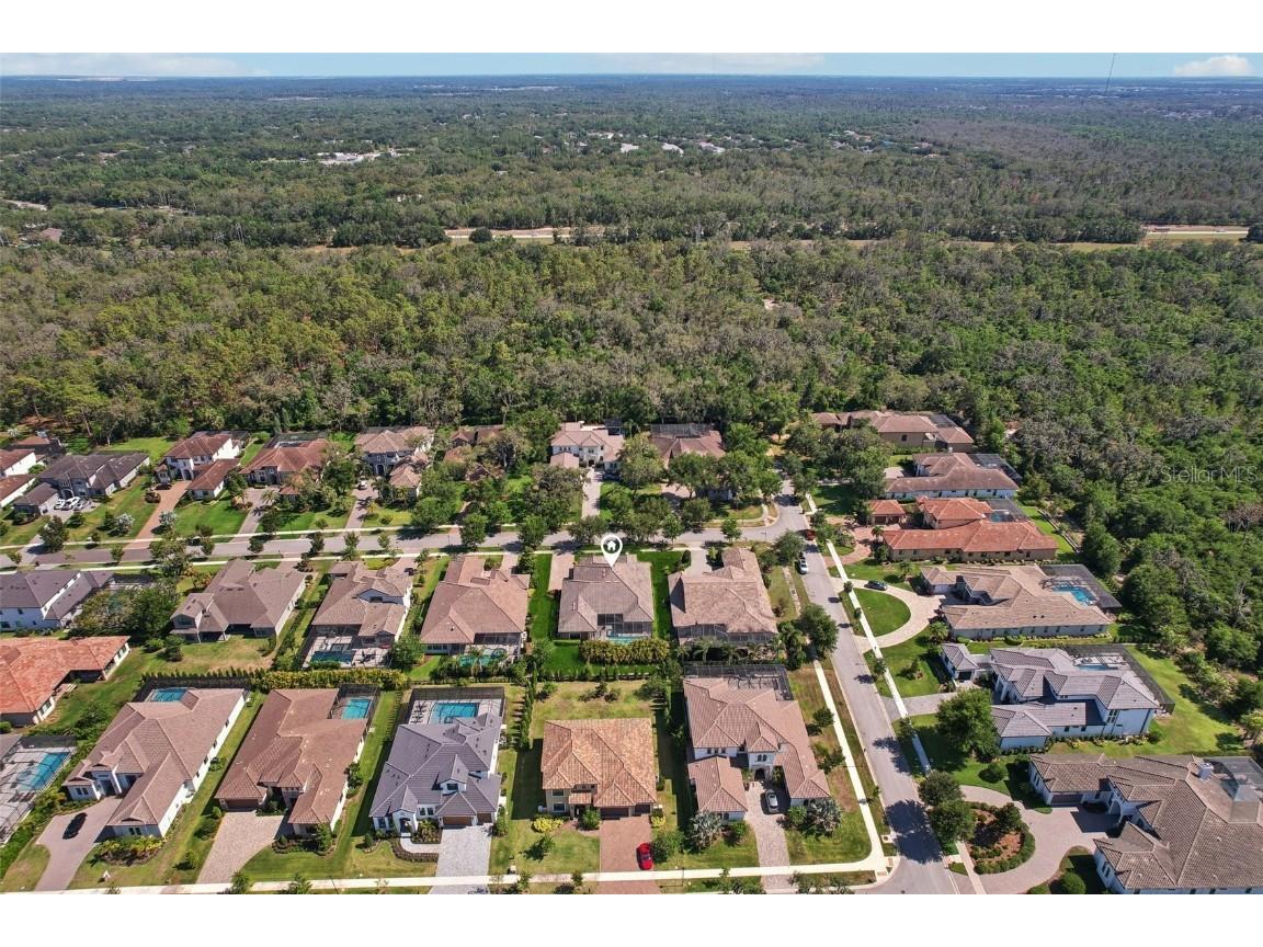 14715 Fishhawk Preserve Drive Lithia FL 33547 TB8390300 image66