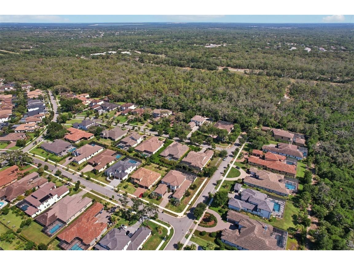 14715 Fishhawk Preserve Drive Lithia FL 33547 TB8390300 image67