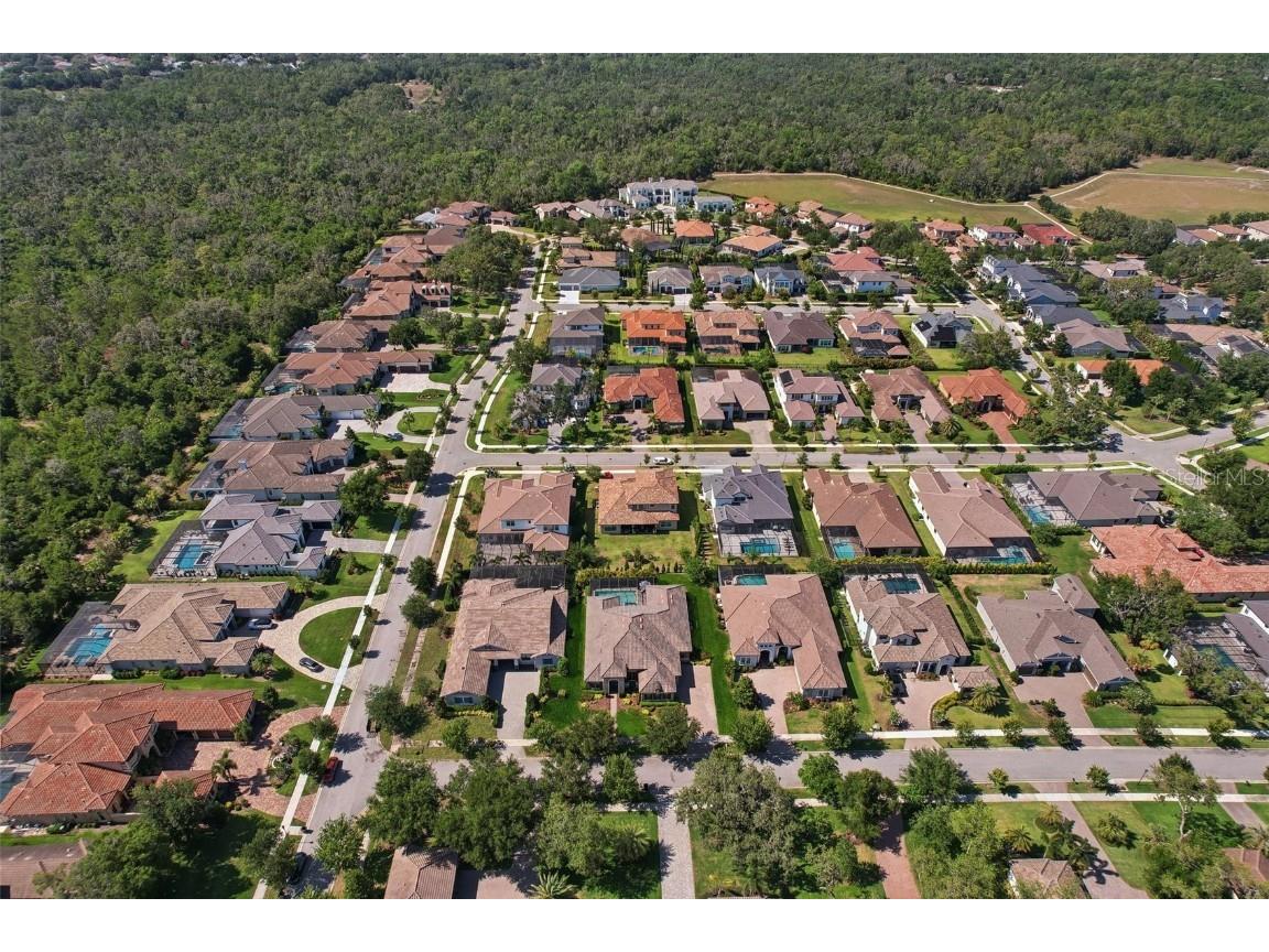 14715 Fishhawk Preserve Drive Lithia FL 33547 TB8390300 image68