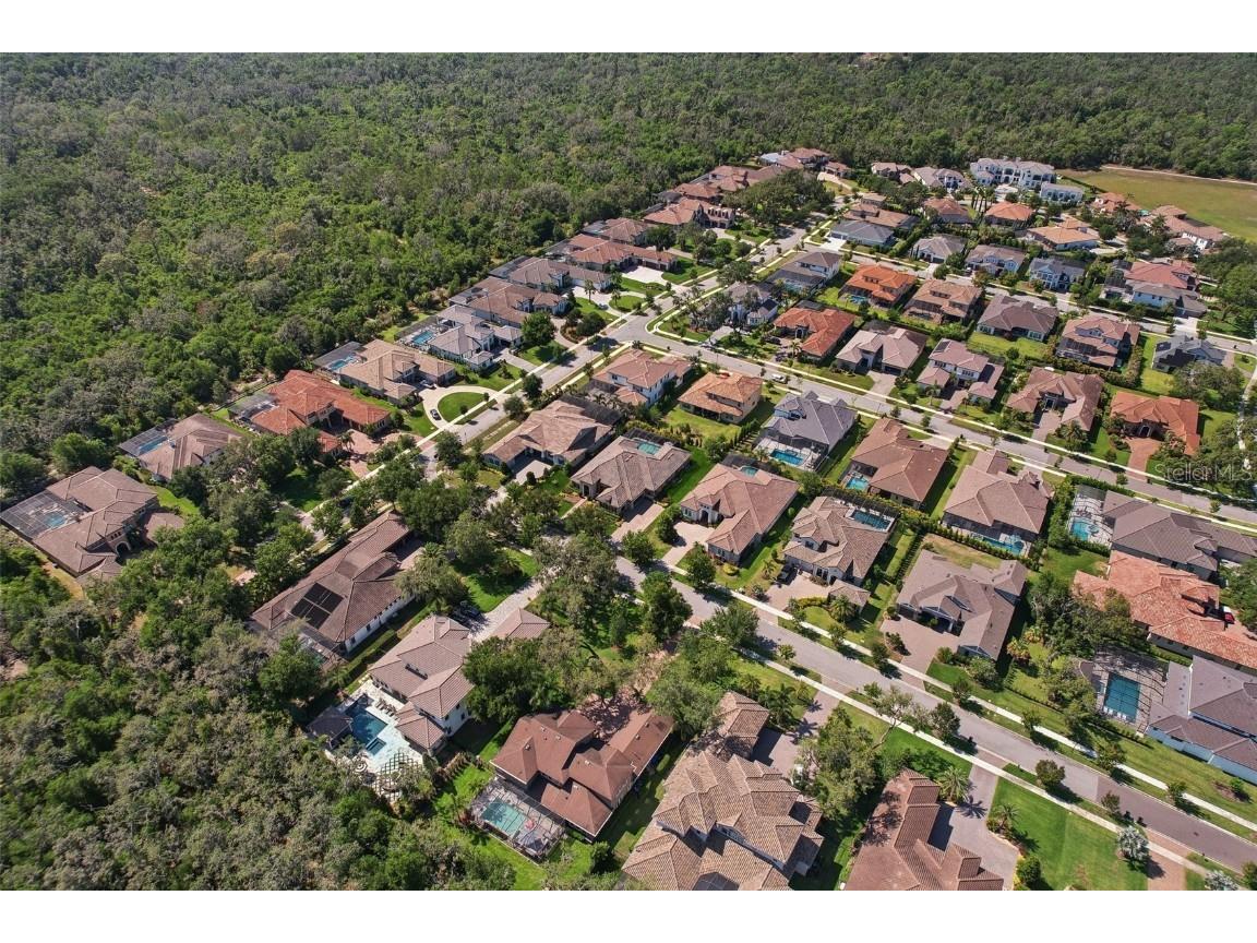 14715 Fishhawk Preserve Drive Lithia FL 33547 TB8390300 image69