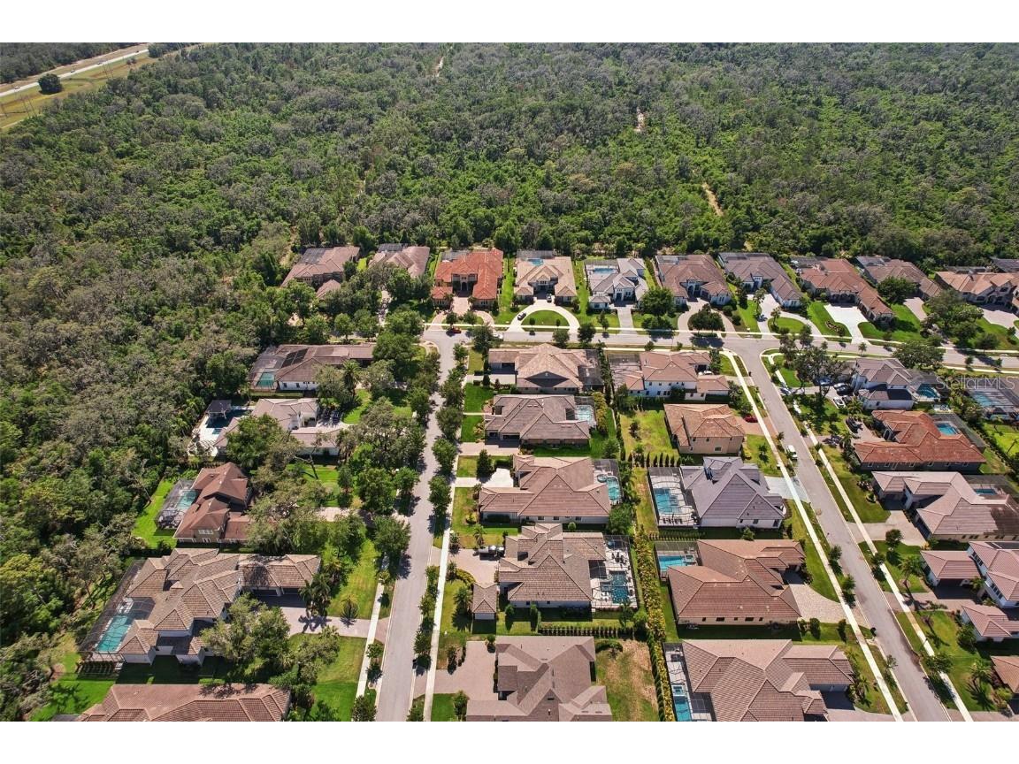 14715 Fishhawk Preserve Drive Lithia FL 33547 TB8390300 image70