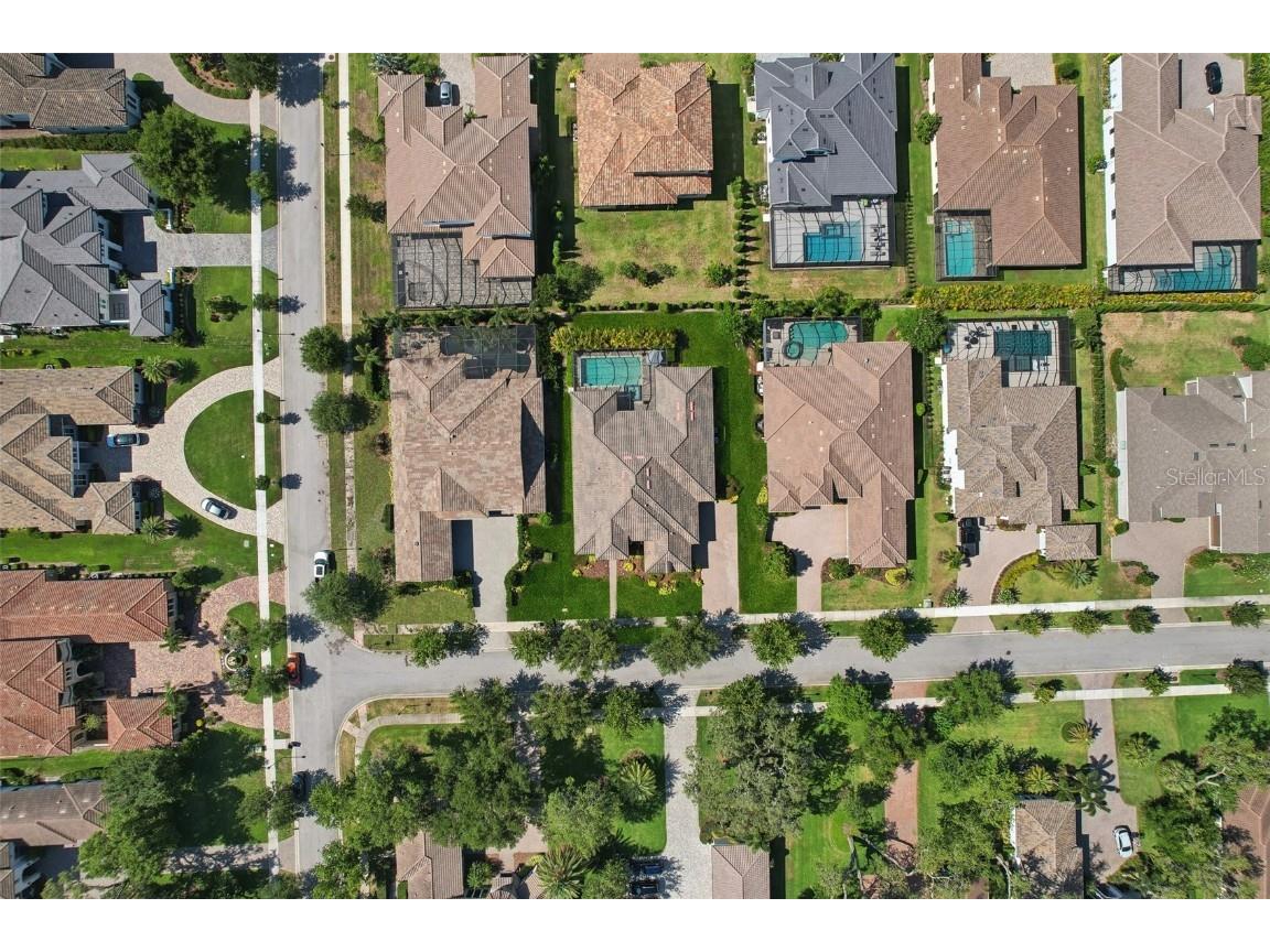 14715 Fishhawk Preserve Drive Lithia FL 33547 TB8390300 image71