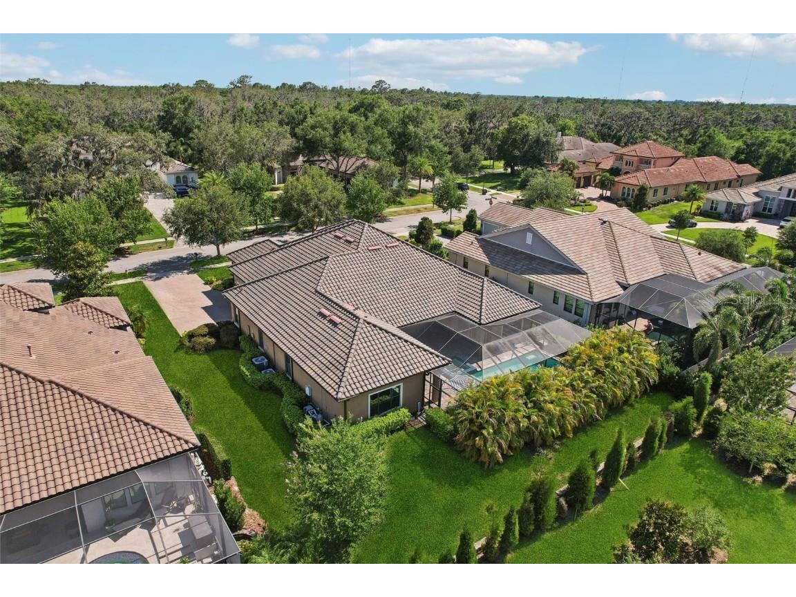 14715 Fishhawk Preserve Drive Lithia FL 33547 TB8390300 image73