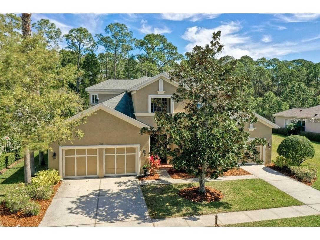 14715 Tudor Chase Drive Tampa FL 33626 TB8421251 image1