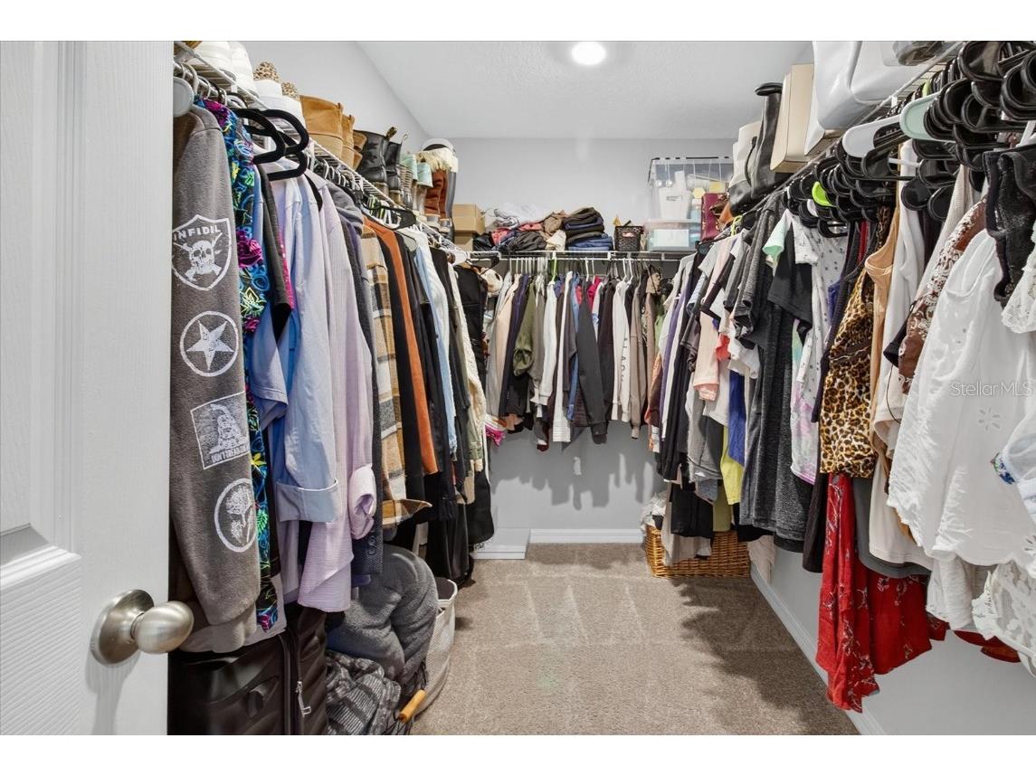 14716 Gallop Run Drive Lithia FL 33547 TB8437086 image24