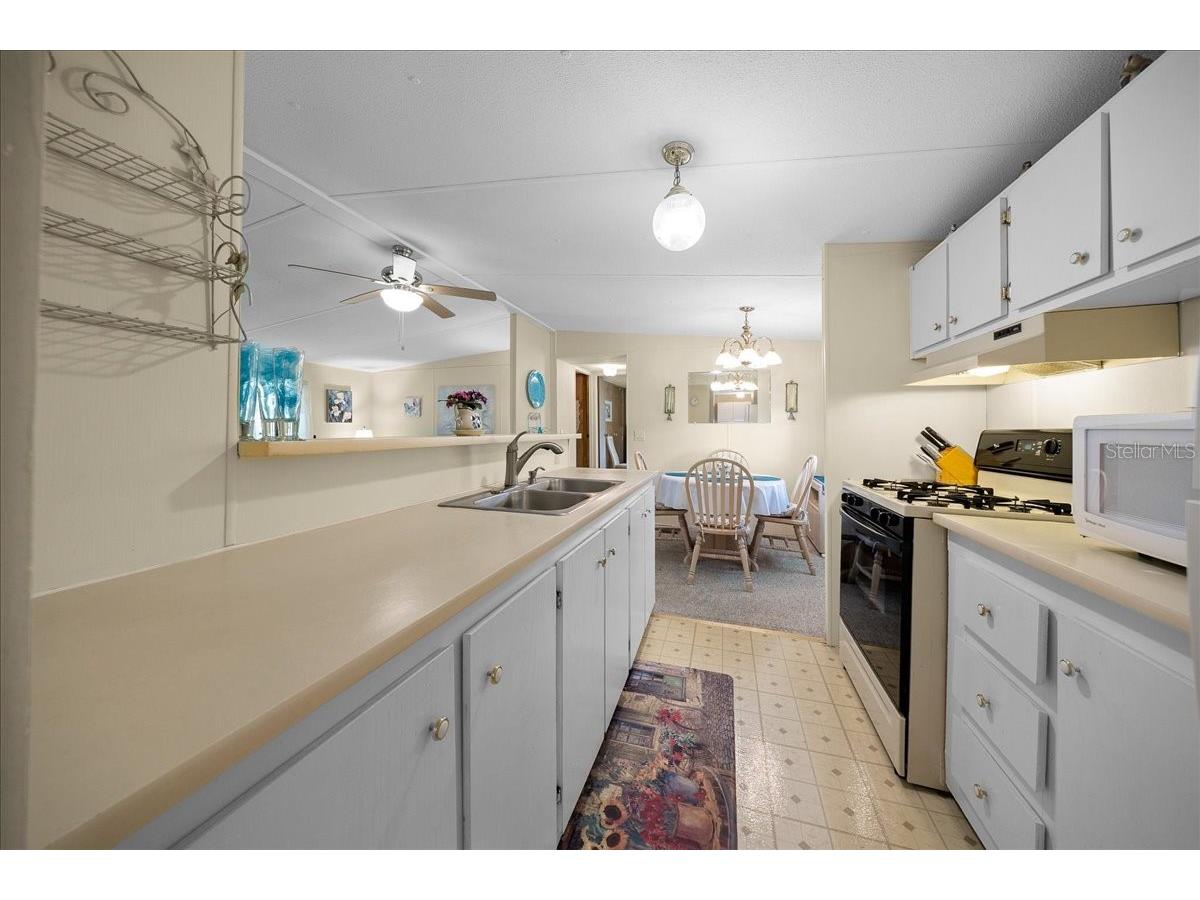 14716 SE 90th Terrace Summerfield FL 34491 OM725990 image13