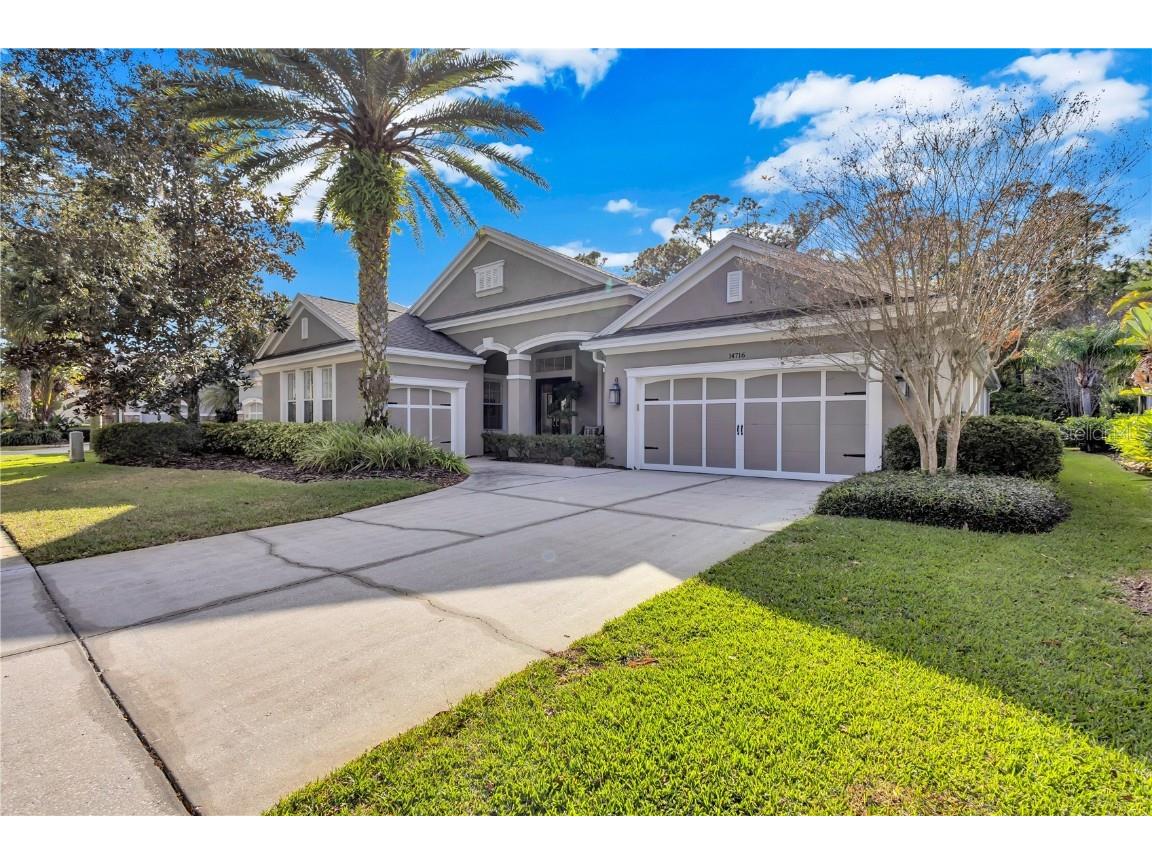 14716 Tudor Chase Drive Tampa FL 33626 T3493826 image1