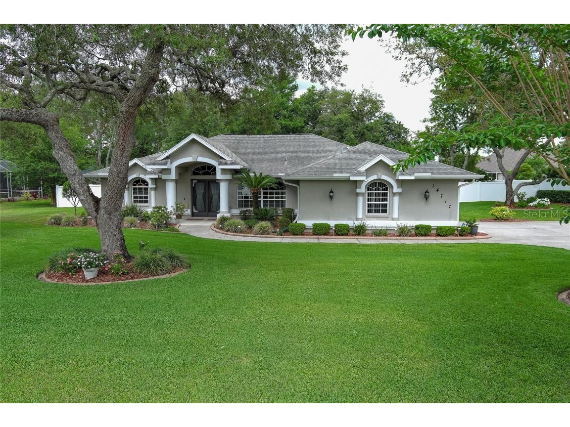 14717 Linden Drive Spring Hill FL 34609 U8241422 image1