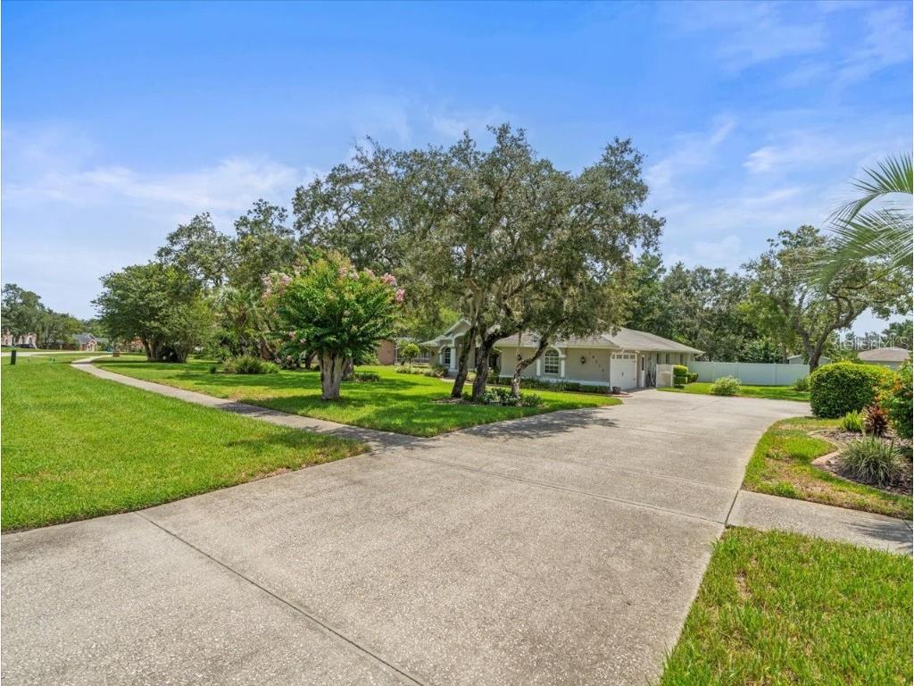 14717 Linden Drive Spring Hill FL 34609 TB8411486 image46