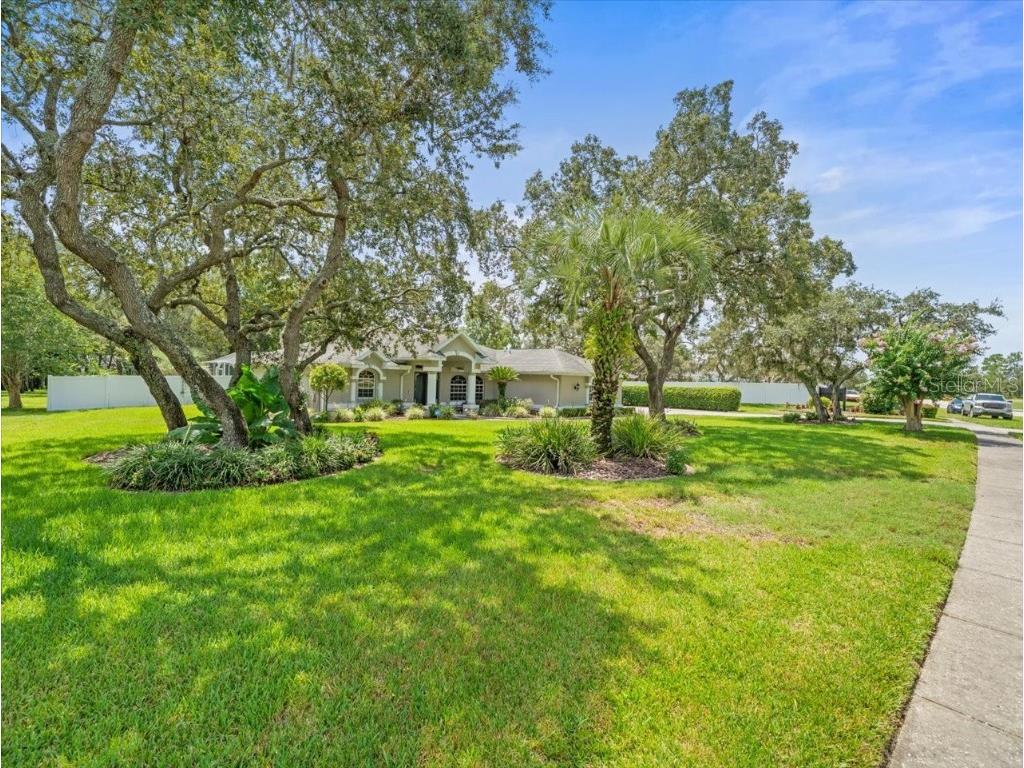 14717 Linden Drive Spring Hill FL 34609 TB8411486 image47