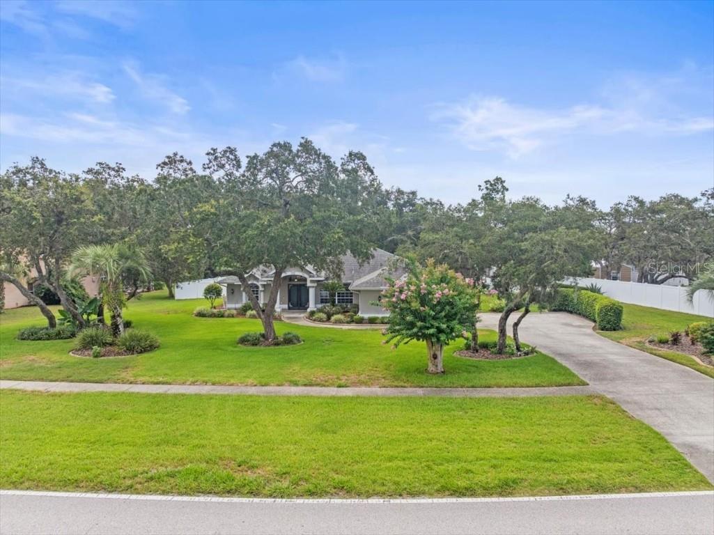 14717 Linden Drive Spring Hill FL 34609 TB8411486 image49