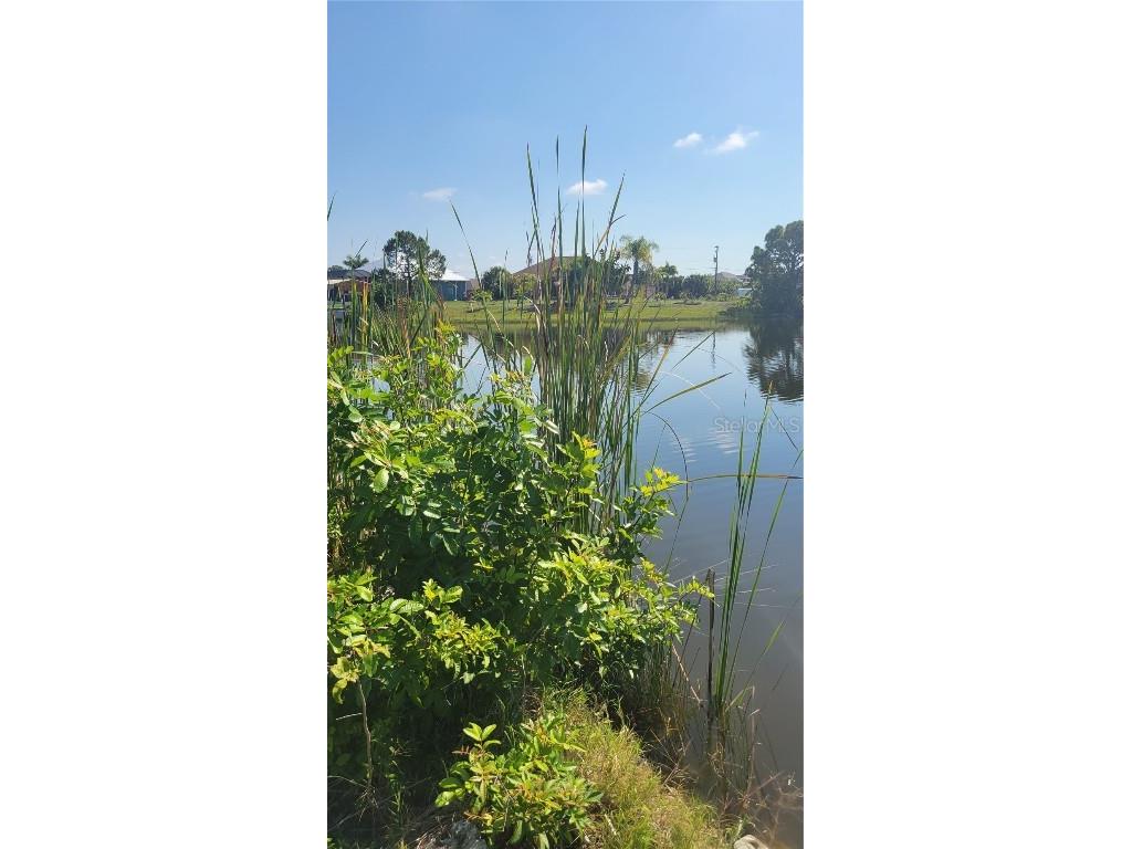 14718 Lillian Circle Port Charlotte FL 33981 D6125541 image4