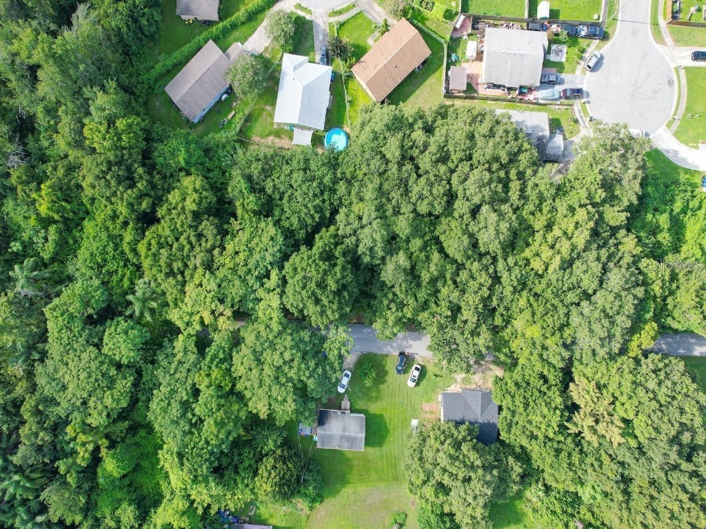 14718 Micah Street Winter Garden FL 34787 O6126933 image1