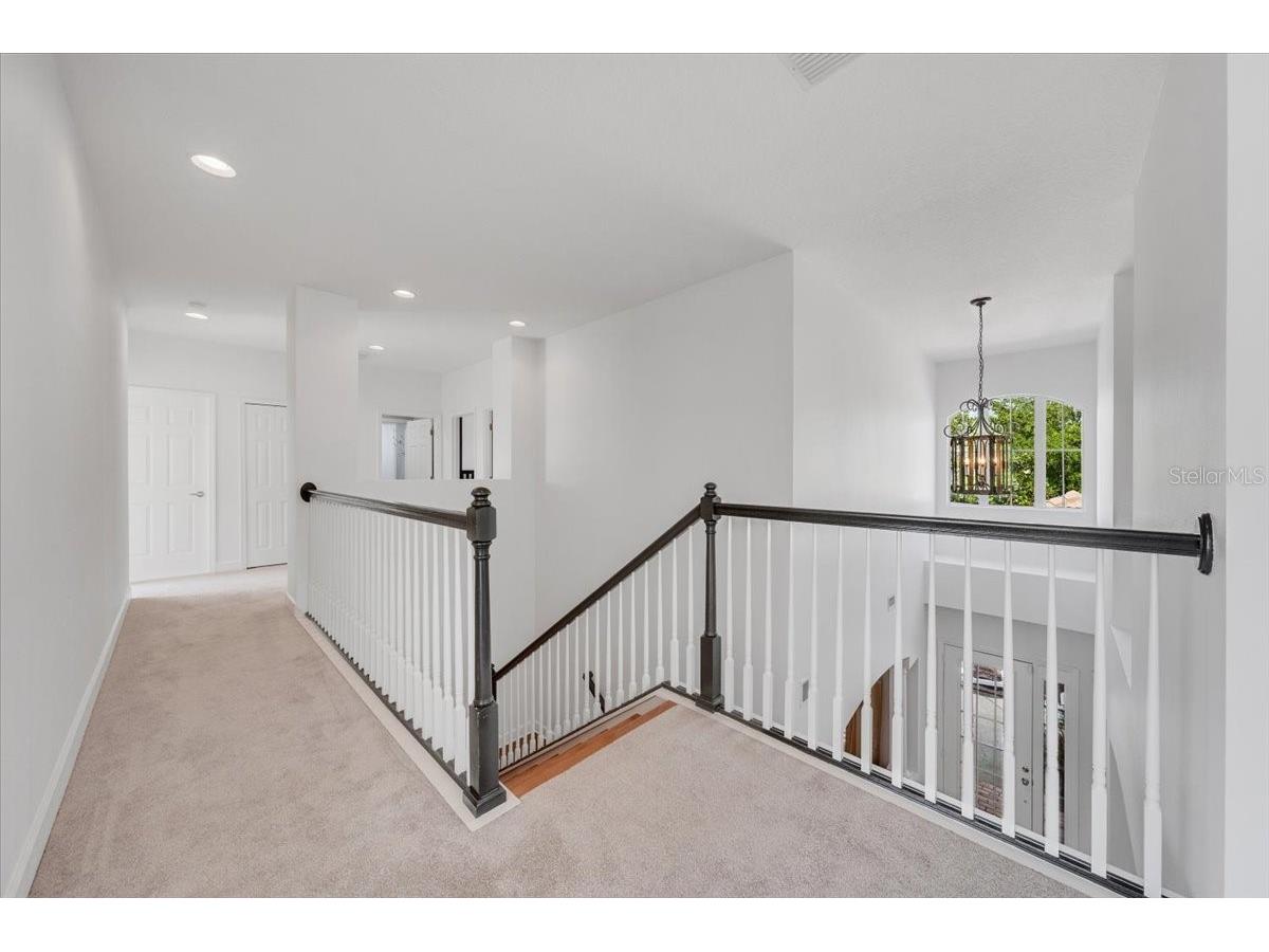 14718 San Marsala Court Tampa FL 33626 TB8495508 image21