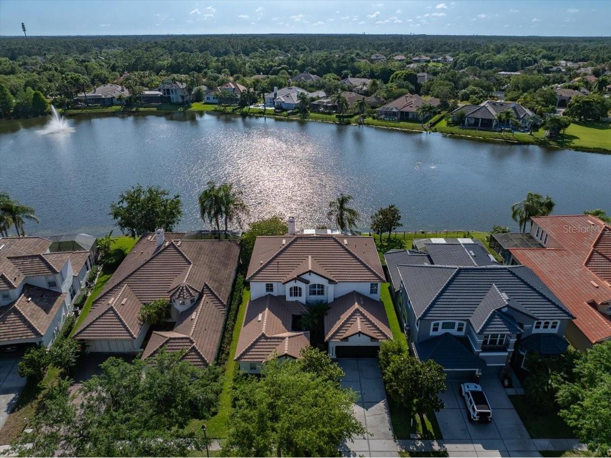 14718 San Marsala Court Tampa FL 33626 TB8495508 image3