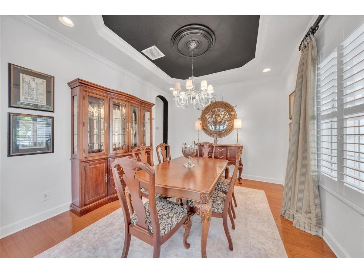 14718 San Marsala Court Tampa FL 33626 TB8495508 image4