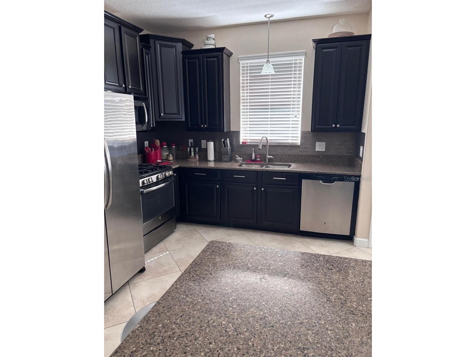 14719 Speer Lake Drive Winter Garden FL 34787 S5153275 image13