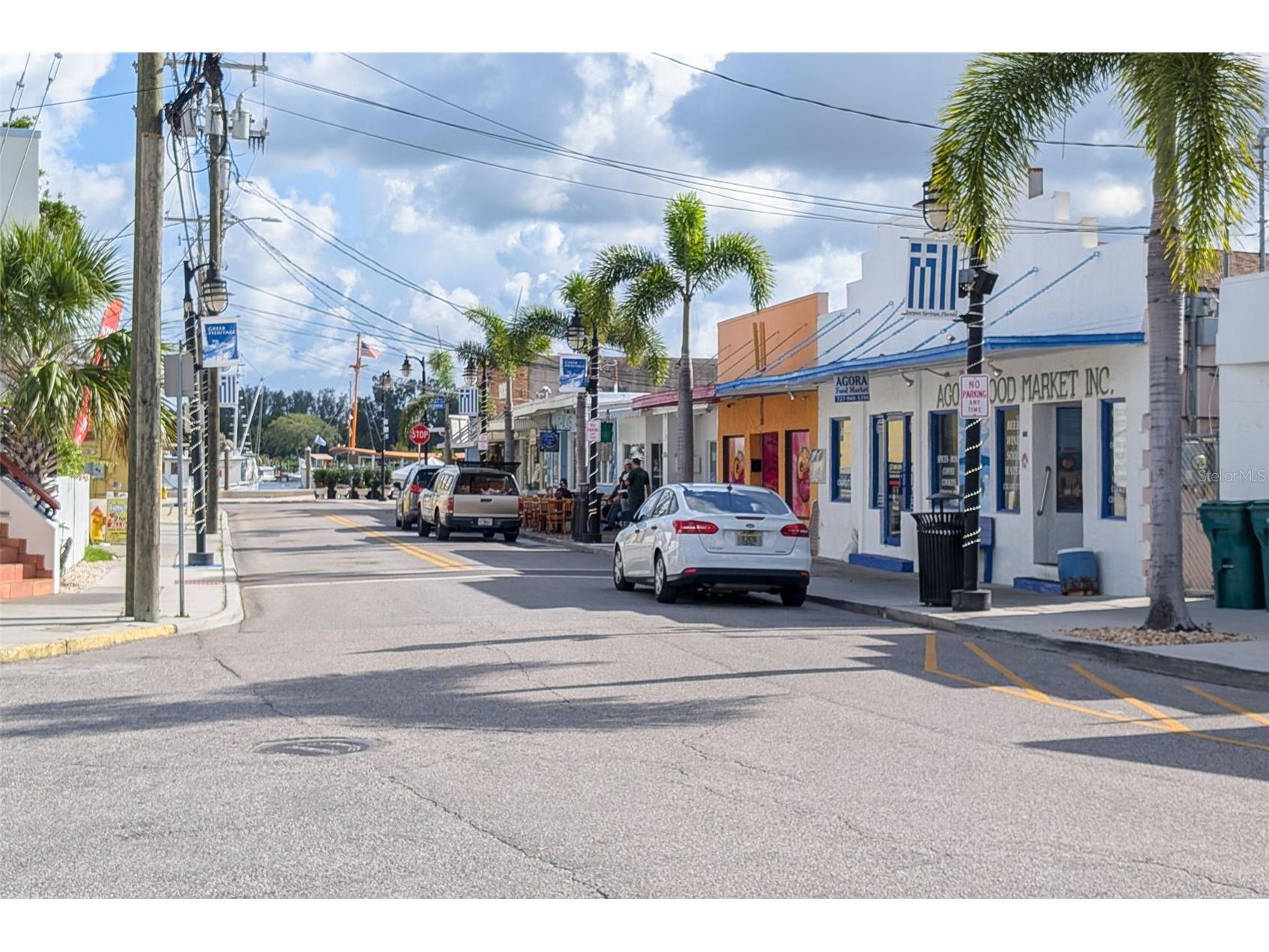 1472 Bay View Street Tarpon Springs FL 34689 TB8510180 image51