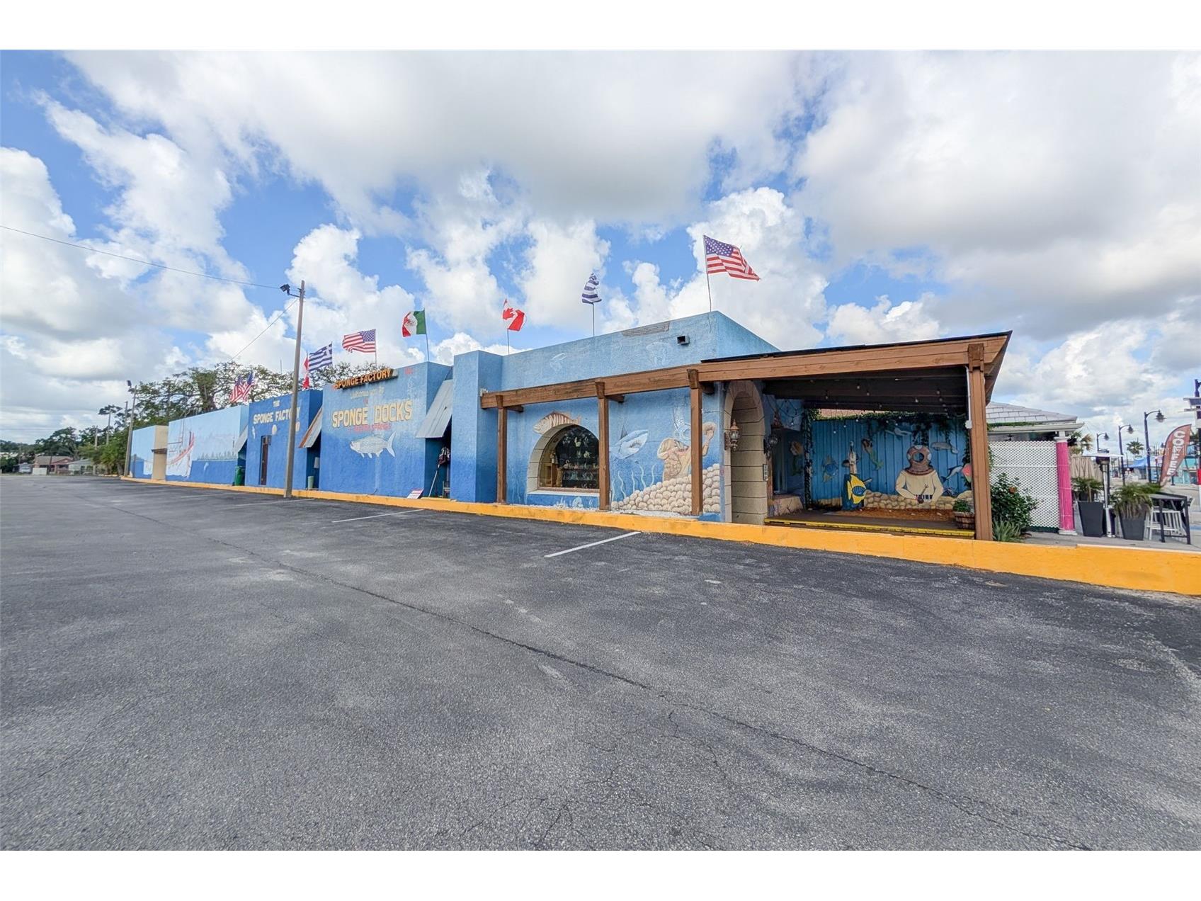 1472 Bay View Street Tarpon Springs FL 34689 TB8510180 image58