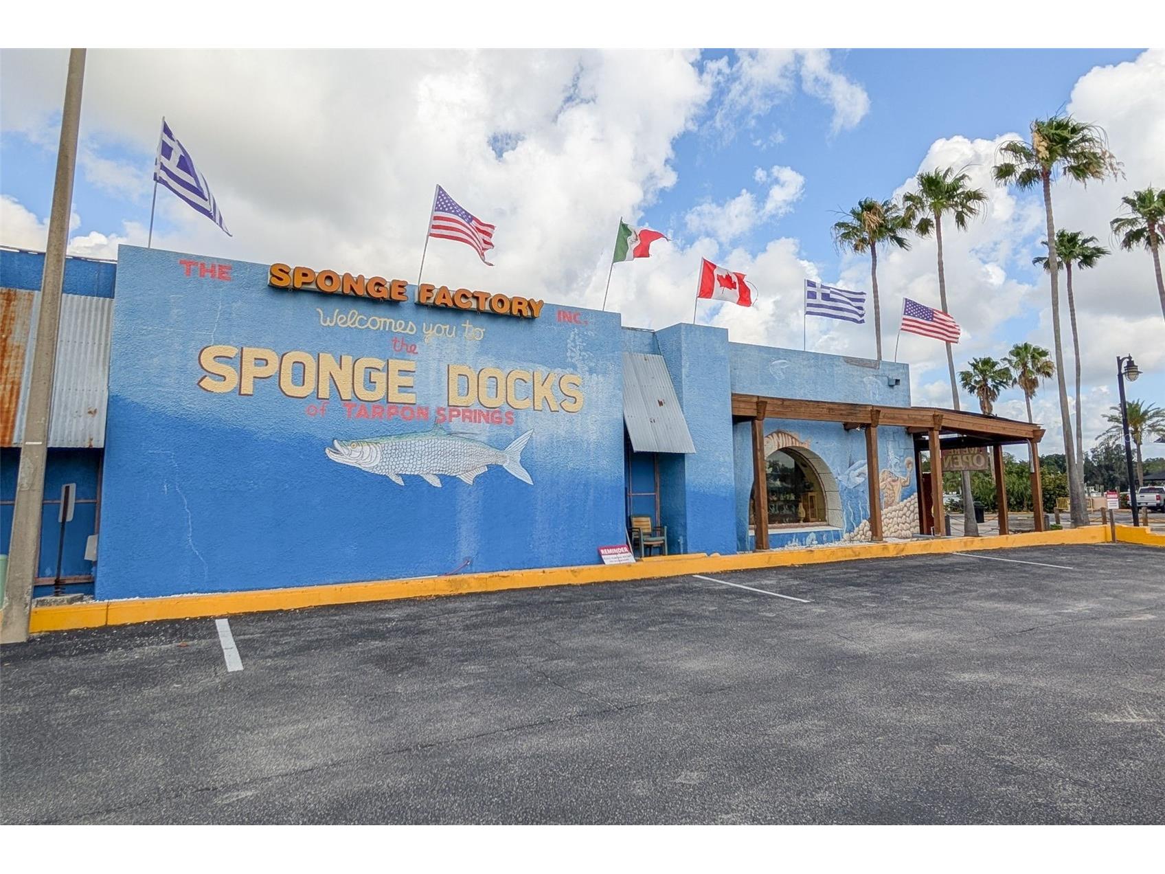 1472 Bay View Street Tarpon Springs FL 34689 TB8510180 image60