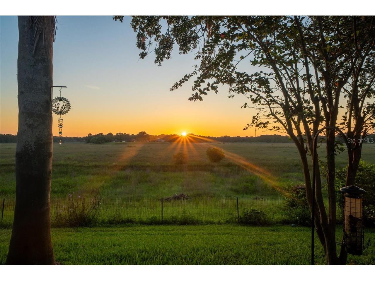 1472 Ivydale Road Spring Hill FL 34606 - HOG POND TB8499644 image2
